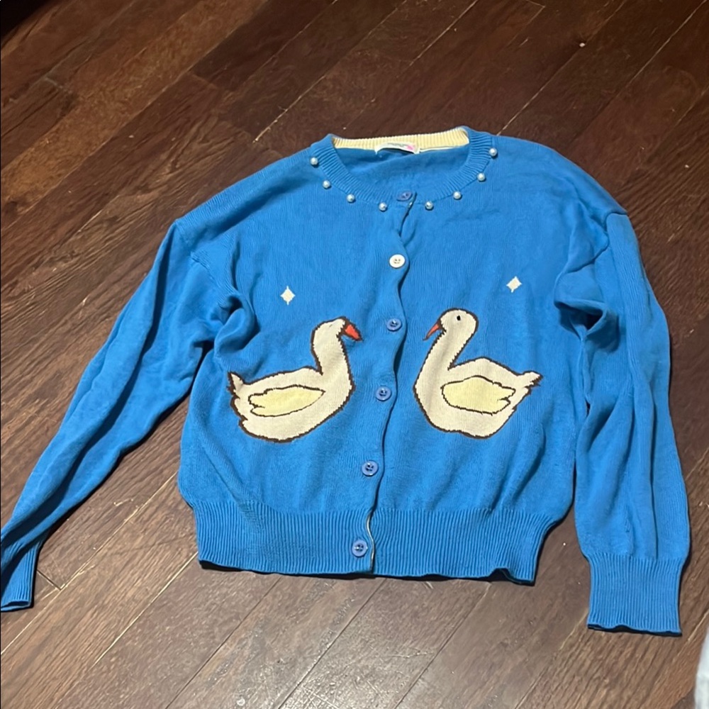 Blue Swan Embroidered Women's Sweater